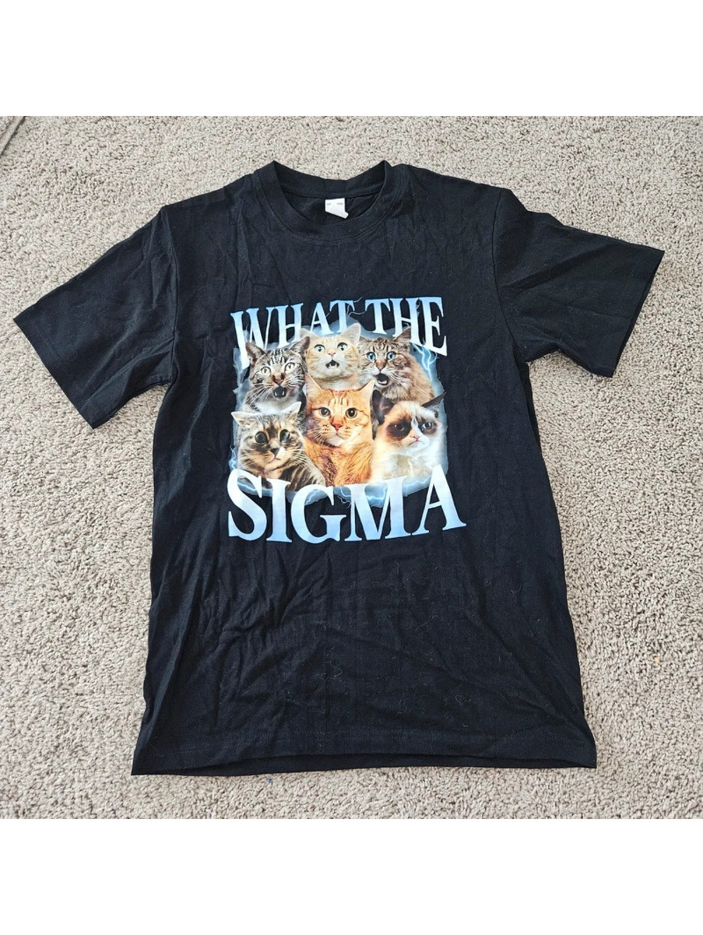 What the Sigma Cat Meme Graphic T-Shirt Black Size Small Funny Viral Tee